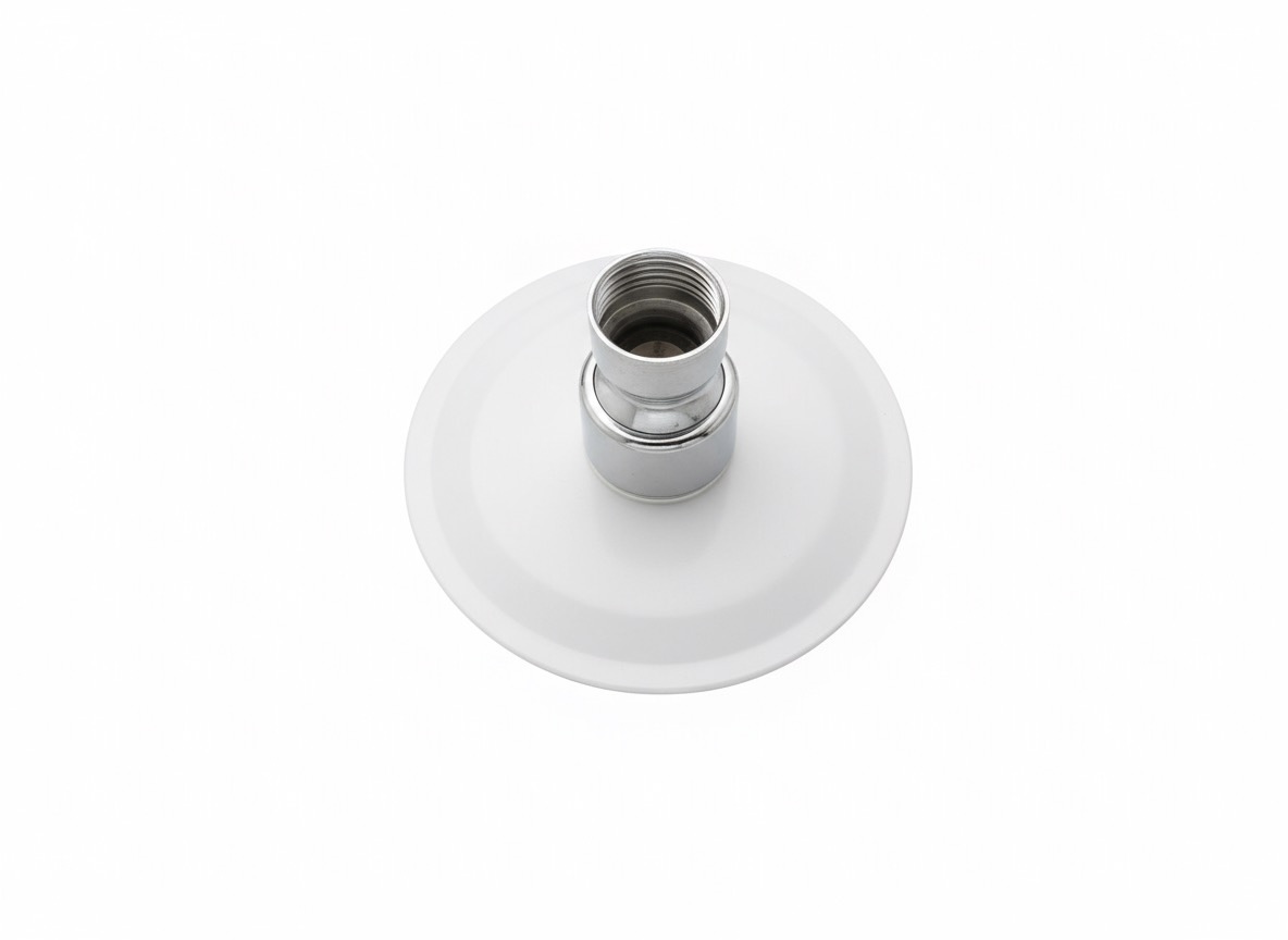 PETITE POMME DE DOUCHE – Image 3